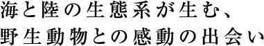 CƗ̐ԌnށA쐶Ƃ̊̏o